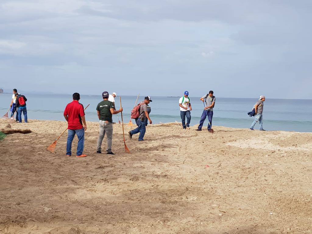 Tortugas1